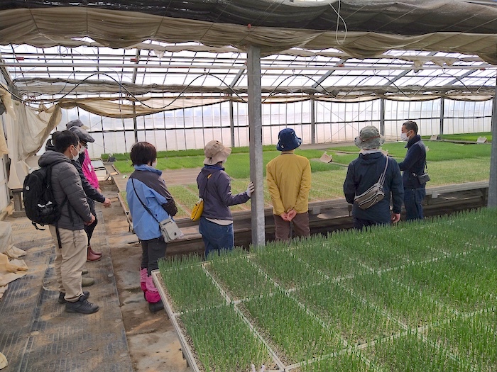 [終了] 都市近郊の熊谷市で、福祉分野も兼ねた「農福連携」農業を学ぶ。